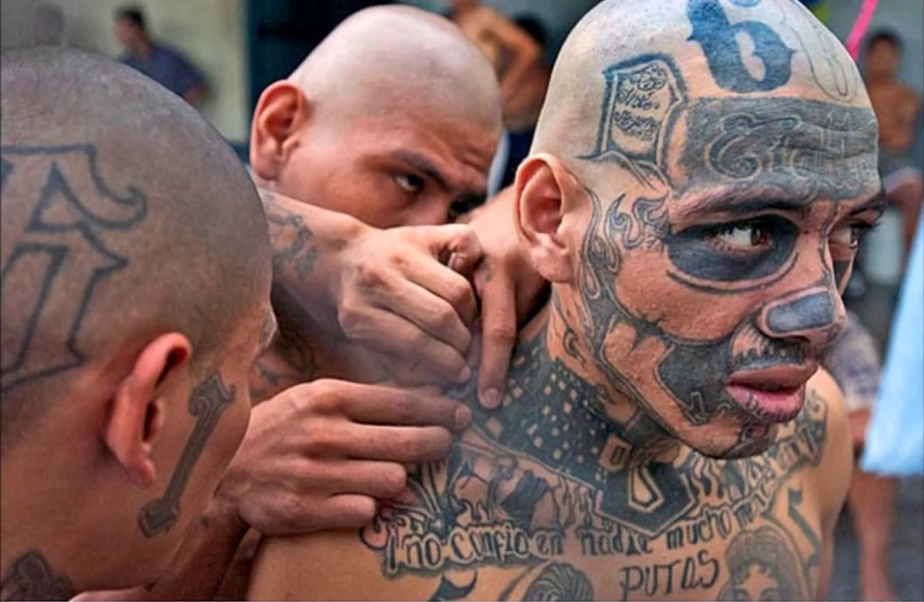 presos tatuados